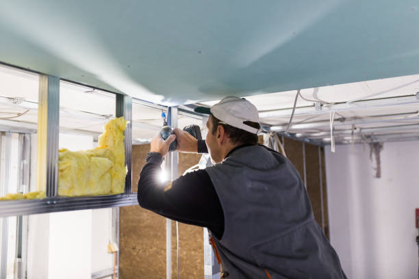 Best Cellulose Insulation in Belle Rose, LA